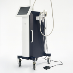 Beauty Disruptor™ RF Microneedling Machine 3 in 1