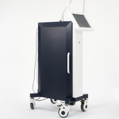 Beauty Disruptor™ RF Microneedling Machine 3 in 1