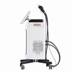 Proteus-V™ RF Micro-needle + Thermagica Fractional RF System