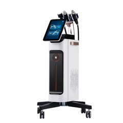 Proteus-V™ RF Micro-needle + Thermagica Fractional RF System